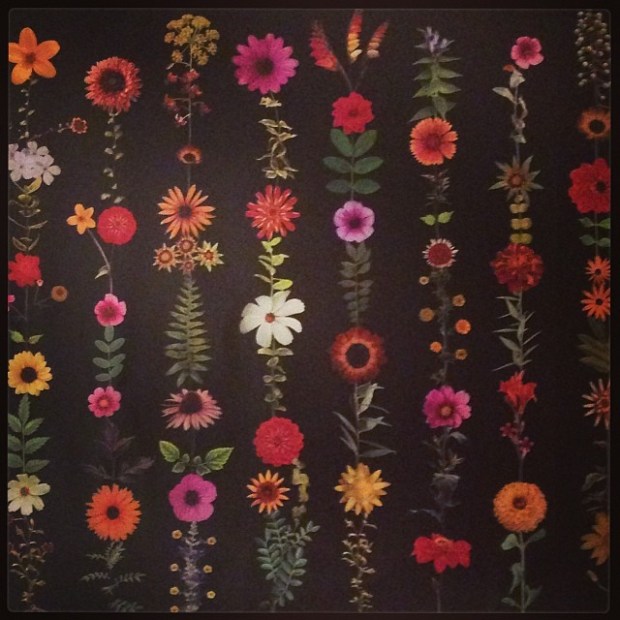 My bargain of the day:  Reduced from £20 to £1!  Now proudly adorning my bedroom wall!