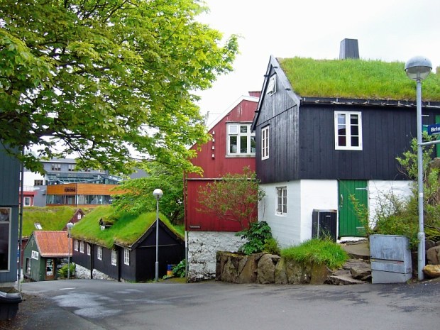 grass house